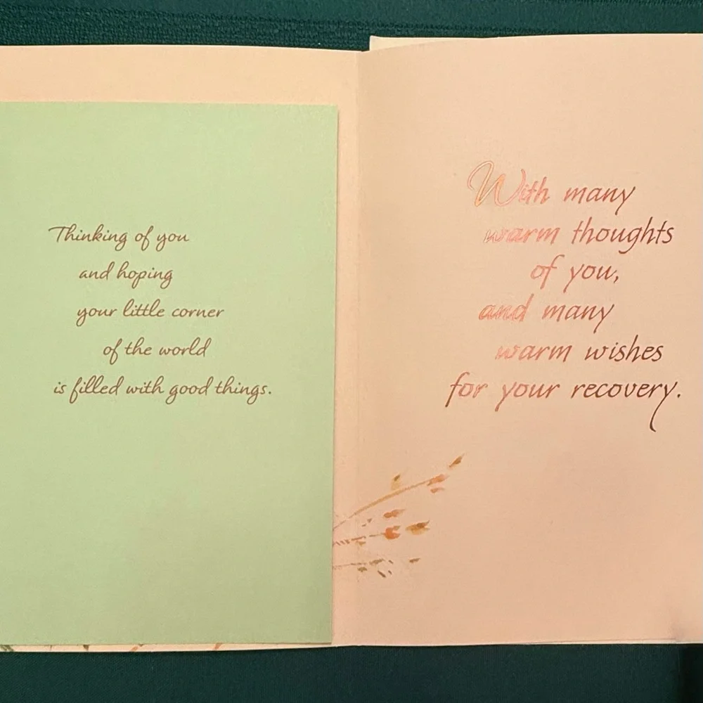 Hallmark Assorted 12 Greeting Cards and Envelopes Set #3
